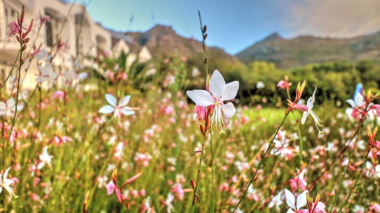 Thelab Cape Town Otel Hout Bay Dış mekan fotoğraf